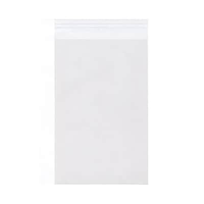 JAM Paper Cellophane Envelopewith Peel & Seal Closure, 17.4375 x 22.25, Clear, 100/Pack (17.5X22.25CELLO)