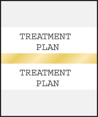 Medical Arts Press® Standard Preprinted Chart Divider Tabs; Treatment Plan, Gold