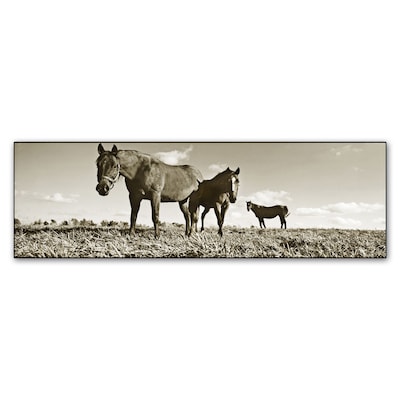Trademark Fine Art Kentucky Horses by Preston 8 x 24 Canvas Art (EM0539-C824GG)