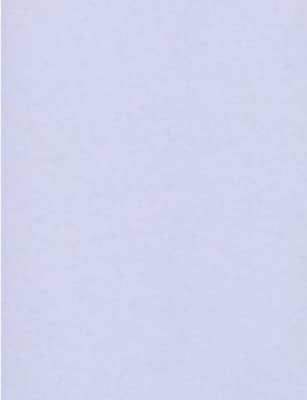 LUX® Paper, 11 x 17, Lilac Purple, 1000 Qty (1117-P-L05-1M)