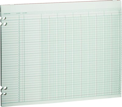 Wilson Jones Columnar Sheets, Ledger Paper, Ruled, 36 Lines, 10 Columns, Green Paper, 11 x 14, 100/Pk