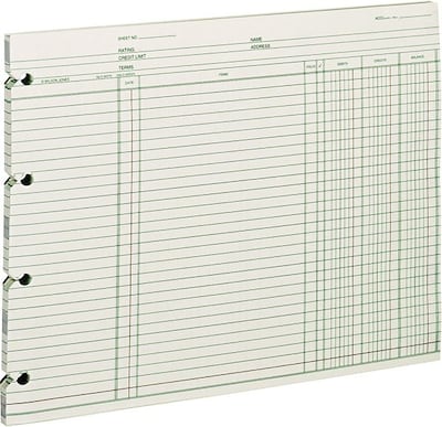 Wilson Jones Ledger Paper, Balance Ledger, 9 1/4" x 11 7/8", Green, 100 Sheets (WLJGN2D)