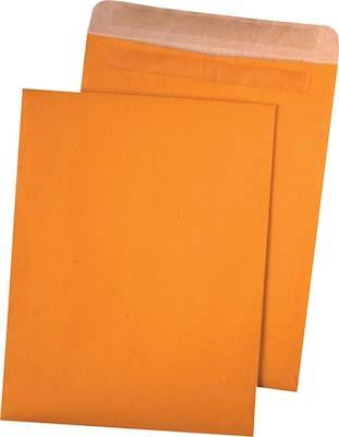 Quality Park Redi-Seal Kraft Catalog Envelope, 9" x 12", Brown, 100/Box (43511)