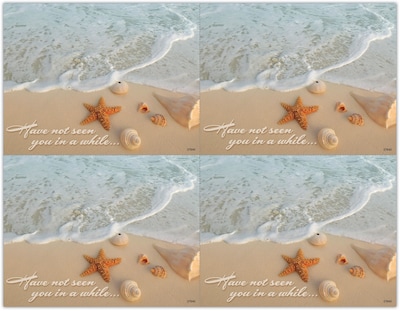 Scenic Postcards; for Laser Printer; Beach Shells, 100/Pk