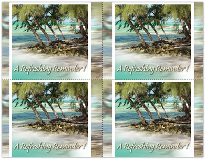 Photo Image Postcards; for Laser Printer; Holiday Series, Palm Trees, 100/Pk