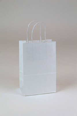 JAM Paper Kraft Lunch Bags, Small, 8 x 4.25 x 2.25, White, Bulk 500  Bags/Box (690KRWHB)