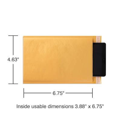4.63" x 6.75" Self-Sealing Bubble Mailer, #000, 25/Carton (ST56655B)