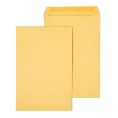 Staples Gummed Kraft Catalog Envelopes, 10L x 15H, Brown, 100/Box (SPL534768)