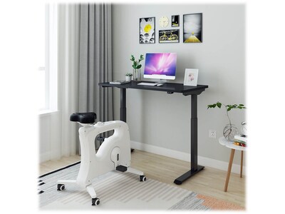 FlexiSpot 48"W Electric Adjustable Standing Desk, Black (EC9B)