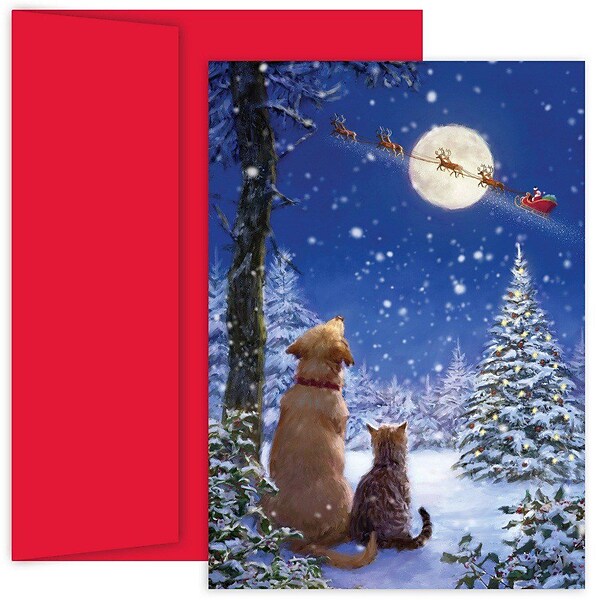 Better Office Christmas Cards with Envelopes 6 x 4 Assorted Colors 100/Pack (64591)