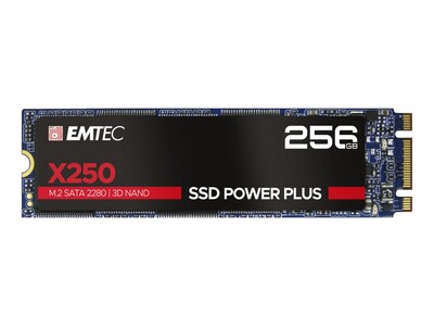 Emtec X250 Power Plus ECSSD256GX250 256GB M.2 SATA Internal Solid State  Drive | Quill.com