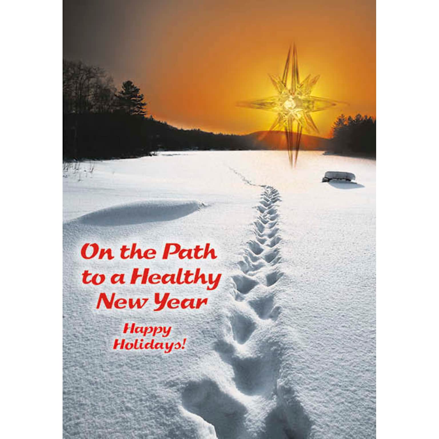 On The Path To A Healthy New Year Holiday Greeting Cards, With A7 Envelopes, 7 x 5, 25 Cards per Set