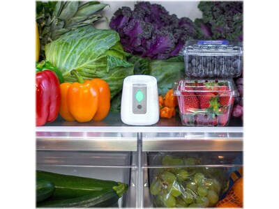 Pureair store fridge purifier