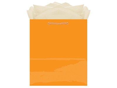 Amscan Gift Bag, Glossy, Orange Peel, 10/Pack (47065.05)