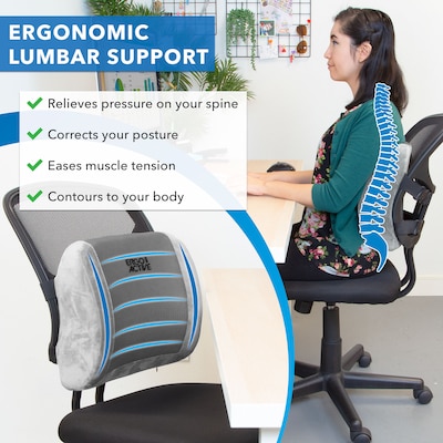 Mind Reader Orthopedic Seat Cushion, Memory Foam Chair Comfort Padding,  Ergonomic Tailbone Relief Gray ORTHOCUSH-GRY - Best Buy