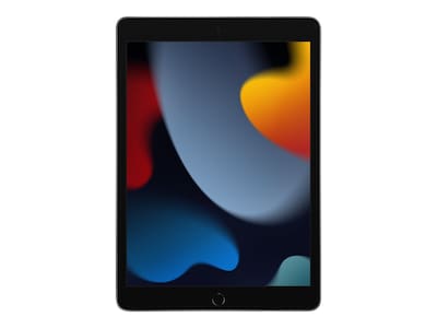 Apple iPad 10.2" Tablet, 256GB, WiFi + Cellular, 9th Generation, Space Gray (MK693LL/A)