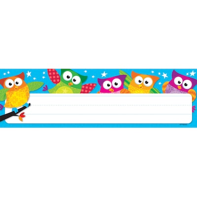 TREND Owl-Stars! Desk Toppers Nameplates, 2.875 x 9.5, 36 Per Pack, 6 Packs (T-69217-6)