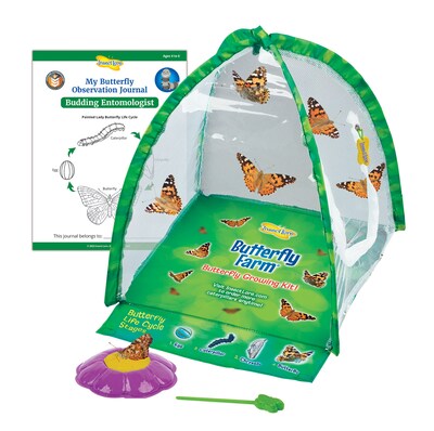 Insect Lore Butterfly Farm Science Manipulative for Students (ILP1015)