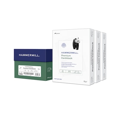 Hammermill Premium 8.5" x 11", CardstockPaper 110 lbs., White, 600 Sheets/Ream, /Carton (168380)