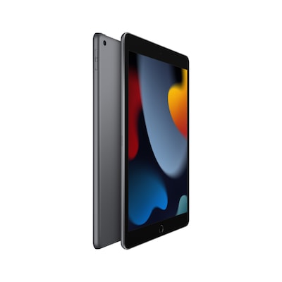 Apple iPad 10.2" Tablet, 256GB, WiFi, 9th Generation, Space Gray (MK2N3LL/A)