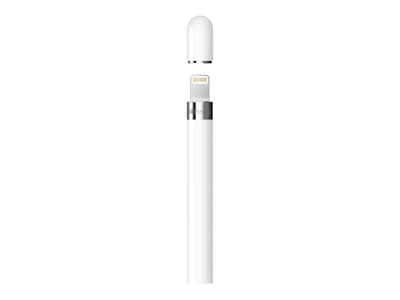 Apple Pencil, 1st Generation, with USB-C to Apple Pencil Adapter 