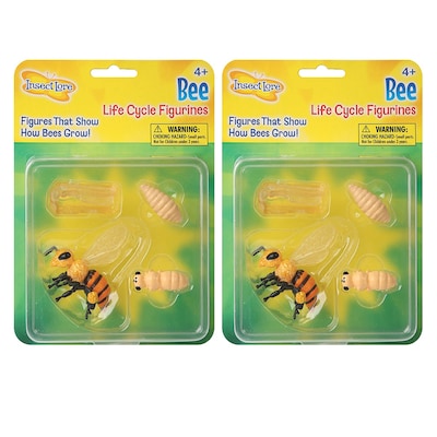 Insect Lore Honey Bee Life Cycle Stages Figurines, 4/Set, 2 Sets (ILP02215-2)