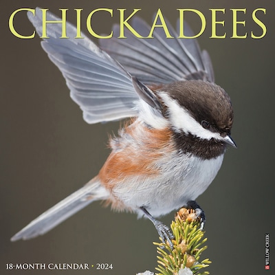 2024 Willow Creek Chickadees 12 x 12 Monthly Wall Calendar, Multicolor (32978)