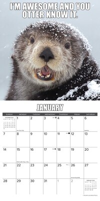 2024 Willow Creek In Otter News 12" x 12" Monthly Wall Calendar, Multicolor (34040)