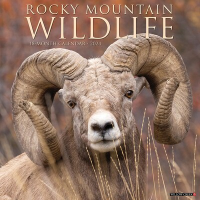 2024 Willow Creek Rocky Mountain Wildlife 12 x 12 Monthly Wall Calendar, Multicolor (35122)