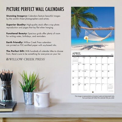 2024 Willow Creek Just Maltese 12" x 12" Monthly Wall Calendar, Multicolor (34378)