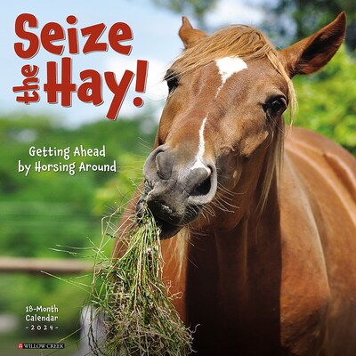 2024 Willow Creek Seize the Hay (Horse Humor) 12 x 12 Monthly Wall Calendar, Multicolor (37515)