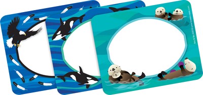 Barker Creek Sea & Sky Eagles File Folder, 1/3-Cut Tab, Letter Size, Assorted, 107/Set (148)