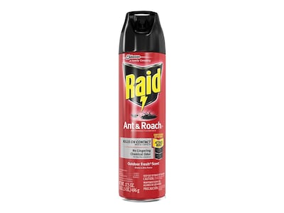 Raid Ant & Roach Killer 26 Aerosol for Ants & Roaches, Outdoor Fresh Scent, 17.5 oz. (669798)