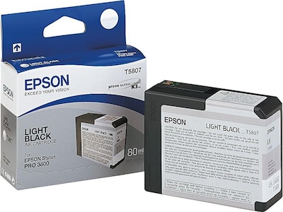 Epson T580 Ultrachrome Light Black Standard Yield Ink Cartridge