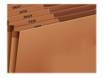 Globe-Weis Heavy Duty Expanding File, 1-31 Index, Letter Size, 31-Pocket, Brown (R217DHD)