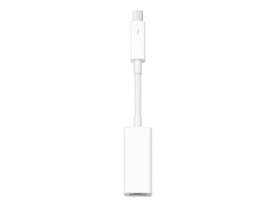 Apple Thunderbolt To Firewire Adapter, White | Quill.com