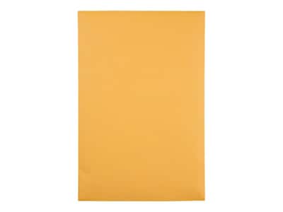 Quality Park Redi-Seal Kraft Catalog Envelopes, 6L x 9H, Brown, 100/Box (QUA43167)