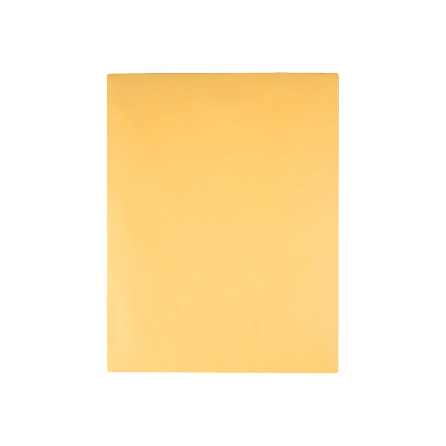 Quality Park ClearClasp Redi-Tac Kraft Catalog Envelopes, 10 x 13, Brown Kraft, 100/Box (QUA43768)