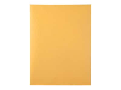 Quality Park Redi-Strip Kraft Catalog Envelopes, 9 x 12, Brown Kraft, 100/Box (QUA44562)