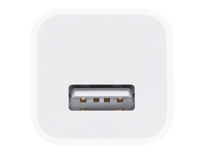 Apple 5W USB Adapter for iPhone/iPad/iPod Touch, White (MD810LL/A) |  Quill.com