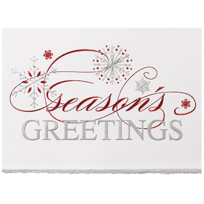 JAM Paper® Blank Christmas Cards Set, Snowflake Greeting, 25/Pack (526M1158WB)