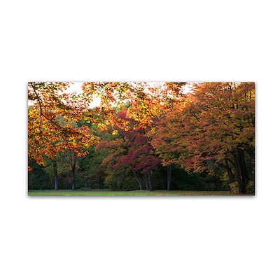 Trademark Fine Art Kurt Shaffer Brilliant Autumn in the Park 12 x 24 Canvas Art (886511964358)