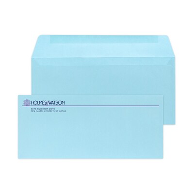 Custom #9 Standard Envelopes, 3 7/8 x 8 7/8, 24# Blue Wove, 2 Custom Inks, 250 / Pack