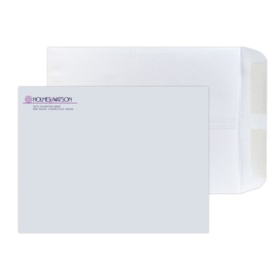 Custom 9 x 12 Standard Catalog Envelopes, 28# White Wove, 2 Custom Inks, 250 / Pack